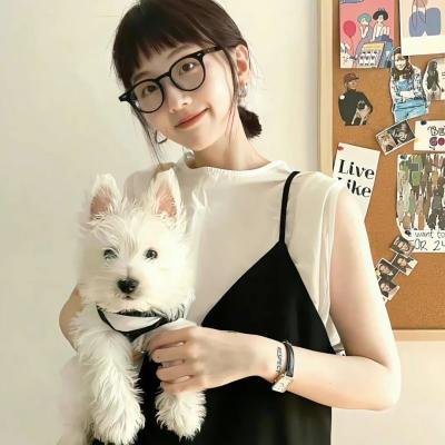 功夫梦：融合之道