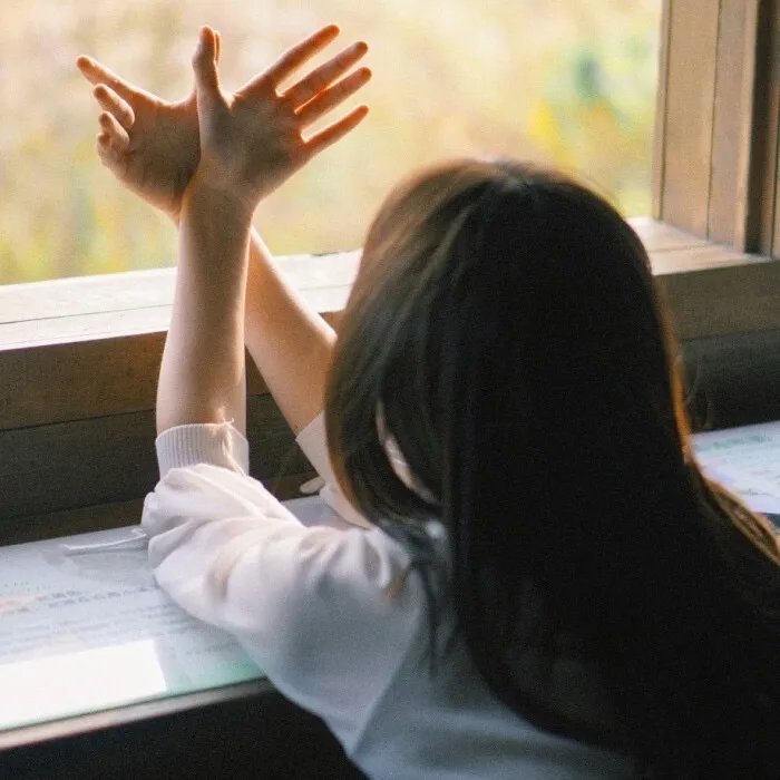 暗芝居第十二季