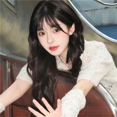 显微镜下的大明之丝绢案